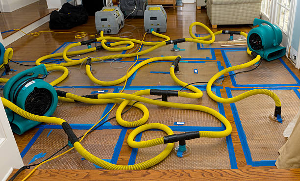 Professional Basement Flood Cleanup technician working in Winlock, WA